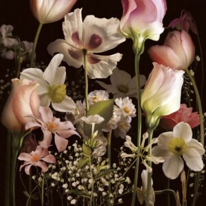 Изображение #31633 Night bouquet sepia