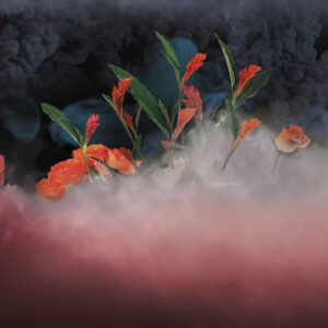 Изображение #31611 Red mystery