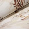 Обои Roberto Cavalli Home 9 RC21015 — изображение 4
