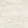 Обои Roberto Cavalli Home 9 RC21025