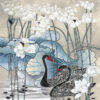 Изображение #31507 Black swans