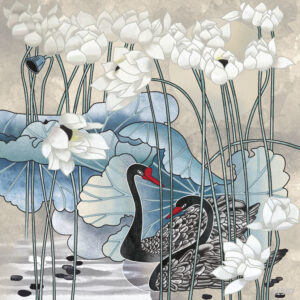 Изображение #31507 Black swans
