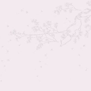 Изображение #34325 Sakura branch white