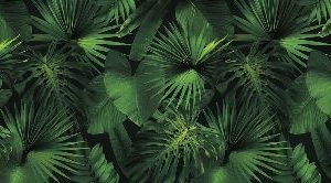 Изображение #34477 Jungle green