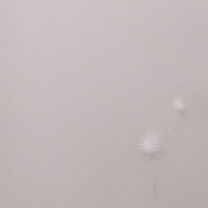 Обои Andrea Rossi Gavi 54368-3