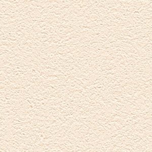 Обои Alessandro Allori Barbara R65438-9
