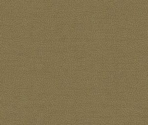 Обои Alessandro Allori Breeze RDT2210-6