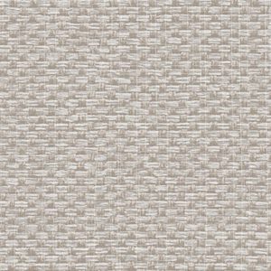 Обои Alessandro Allori Barbara RWA2609-2