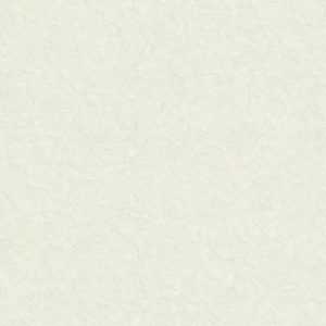Обои Zambaiti Parati Trussardi 6 Z46034