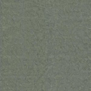 Обои Zambaiti Parati Trussardi 6 Z46042