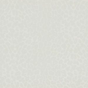 Обои Zambaiti Parati Philipp Plein Z80041