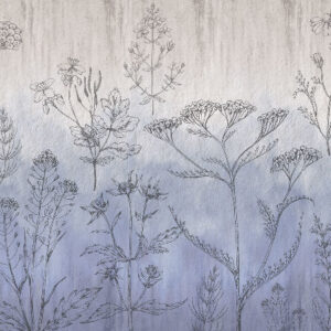 Изображение #31531 Wildflowers