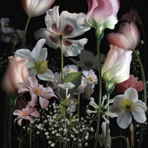 Изображение #31632 Night bouquet