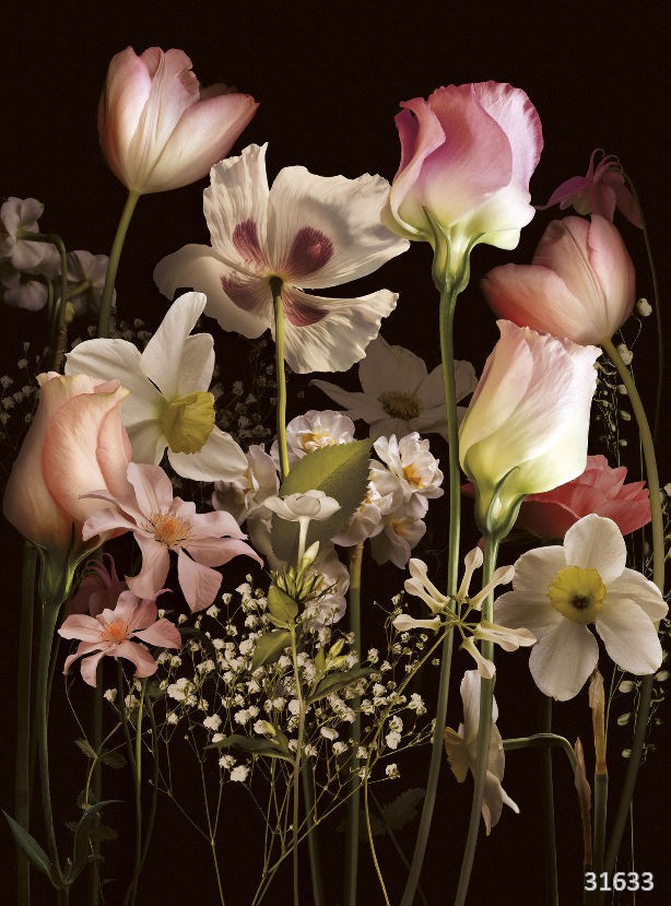 Изображение #31633 Night bouquet sepia