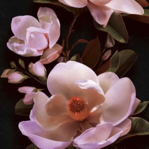 Изображение #31655 Magnolia macro pink