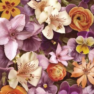 Изображение #31657 Flavor pink