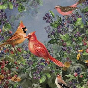 Изображение #32218 Ashford garden original
