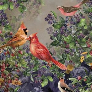 Изображение #32219 Ashford garden sunday