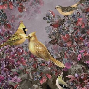 Изображение #32222 Ashford garden golden mist