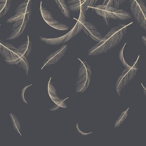 Изображение #33795 Feathers