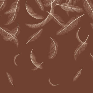 Изображение #33796 Feathers brown