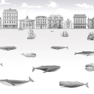 Изображение #33889 Whales 3