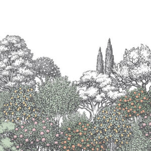 Изображение #34095 Garden color