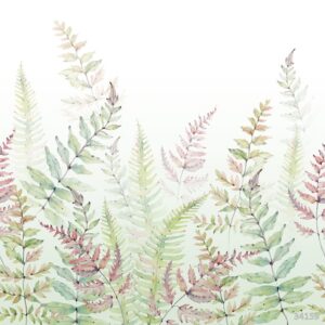 Изображение #34159 Fern