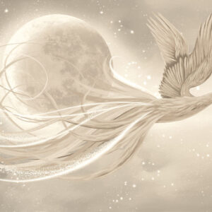 Изображение #34679 Phoenix in the sky