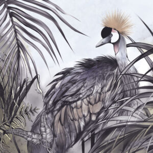 Изображение #34697 Stork in the jungle