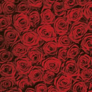 Изображение #50044 Красные розы