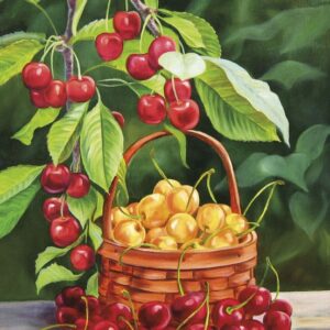 Изображение #8225 Черешенки на ветке в саду